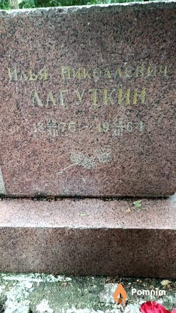 Лагуткин Илья Николаевич