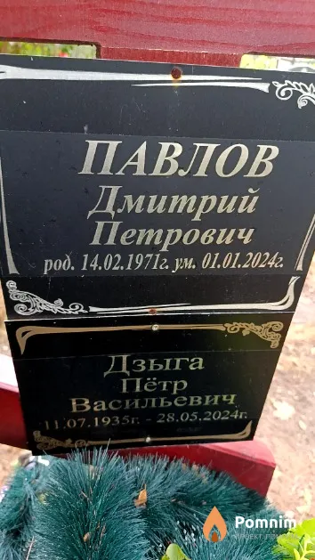 Дзыга Пётр Васильевич