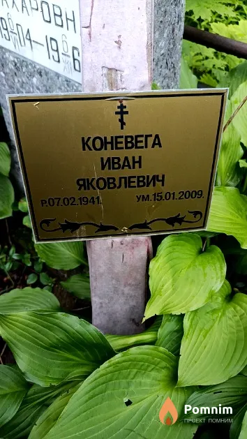 Коневега Иван Яковлевич
