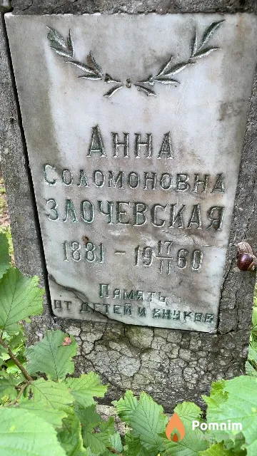 Злочевская Анна Соломоновна
