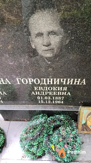 Городничина Евдокия Андреевна