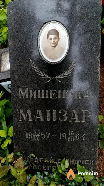 Манзар Михаил