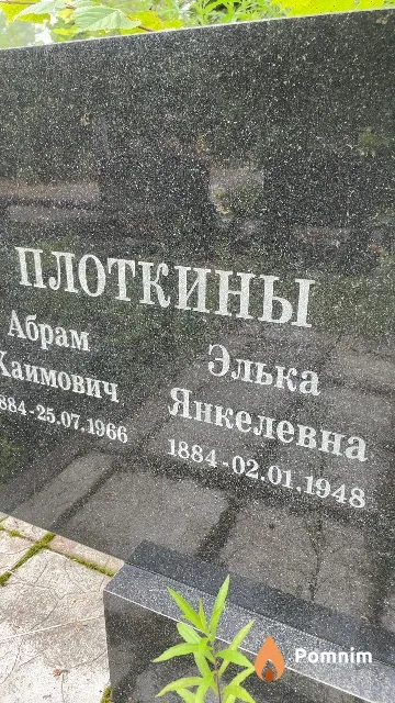 Плоткина Элька Янкелевна