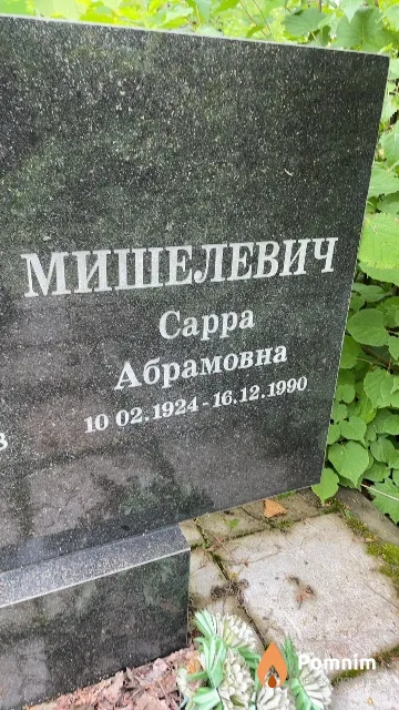 Мишелевич Cappa Абрамовна
