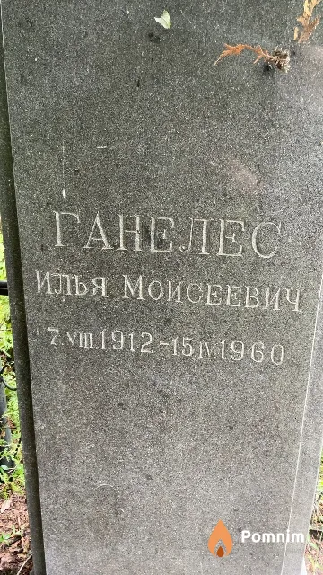 Ганелес Илья Моисеевич