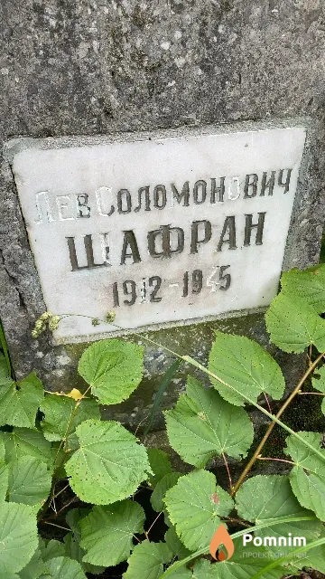 Шафран Лев Соломонович