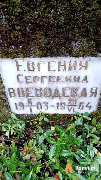 Воеводская Евгения Сергеевна