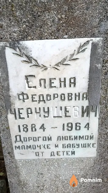 Чернушевич Елена Федоровна