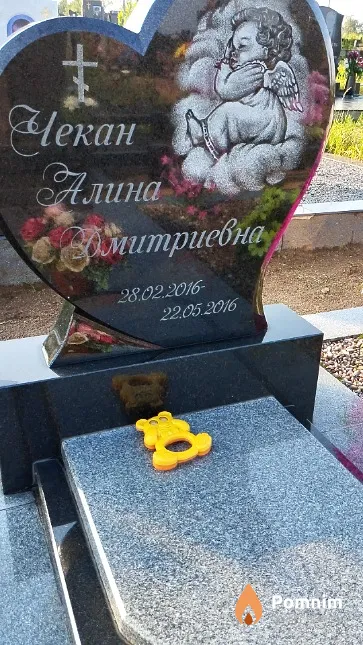 Чекан Алина Дмитриевна