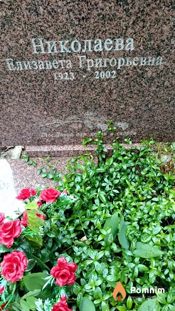 Николаева Елизавета Григорьевна