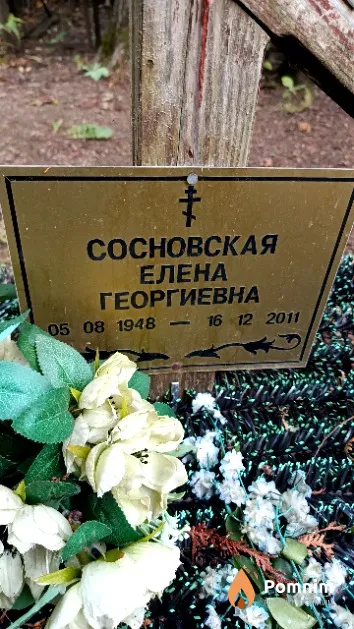Сосновская Елена Георгиевна