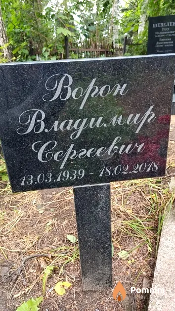 Ворон Владимир Сергеевич