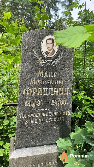 Фридлянд Maкс Мойсеевич