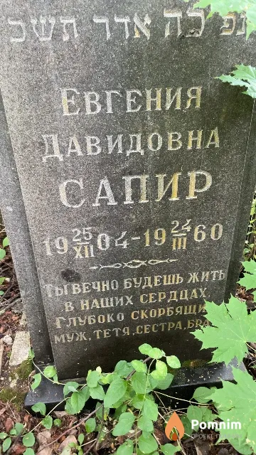 Сапир Евгения Давидовна