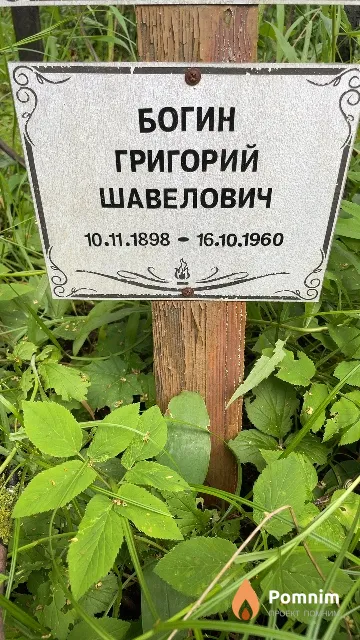Богин Григорий Шавелович