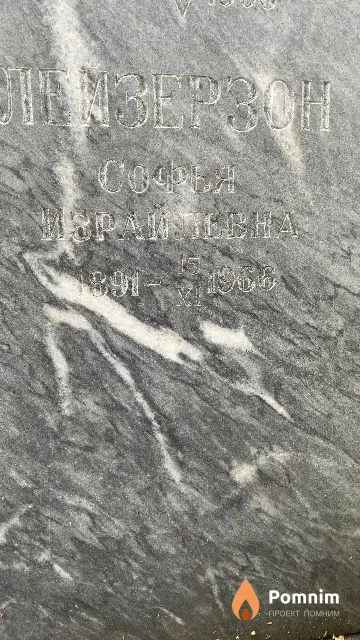 Лейзерзон Софья Израйлевна