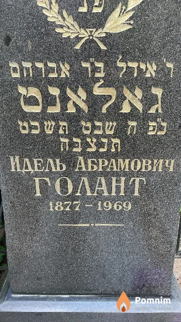 Голант Идель Абрамович