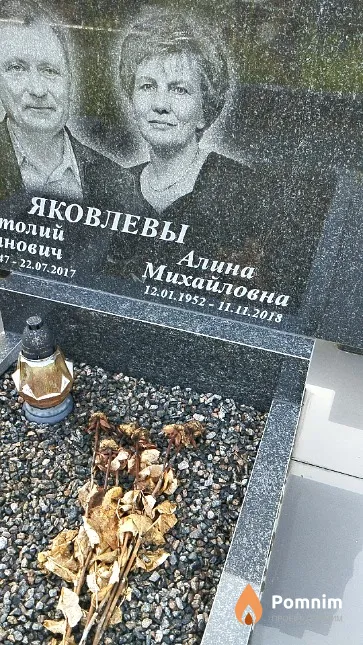 Яковлева Алина Михайловна
