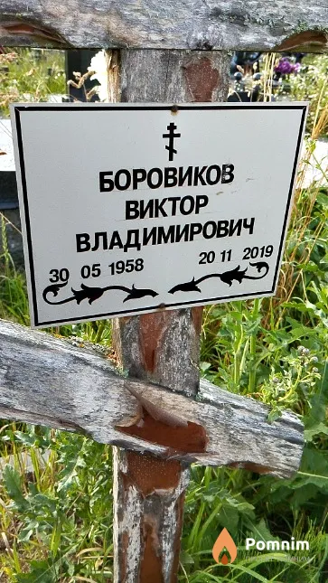 Боровиков Виктор Владимирович