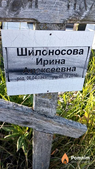 Шилоносова Ирина Алексеевна