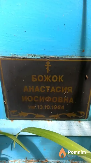 Божок Анастасия Иосифовна