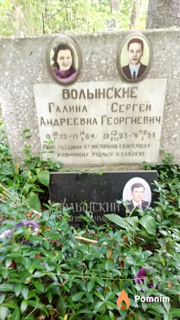Волынский Георгий Наумович