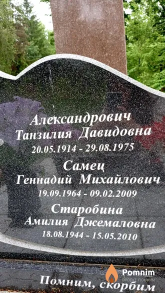Старобина Амилия Джемаловна