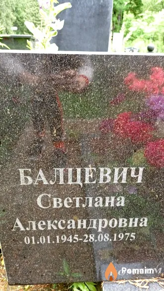 Балцевич Светлана Александровна