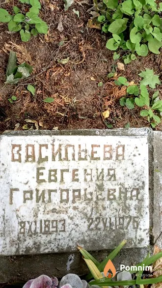 Васильева Евгения Григорьевна