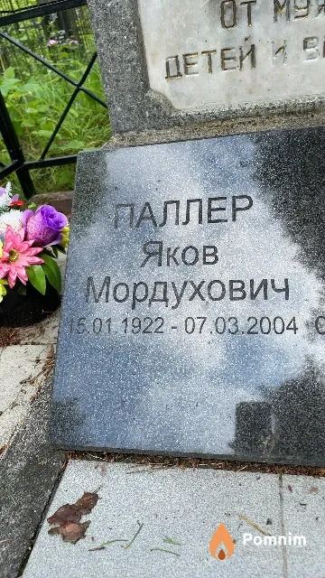 Паллер Яков Мордухович