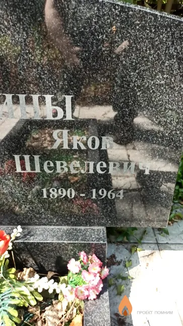 Миркин Яков Шевелевич
