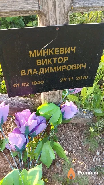 Минкевич Виктор Владимирович