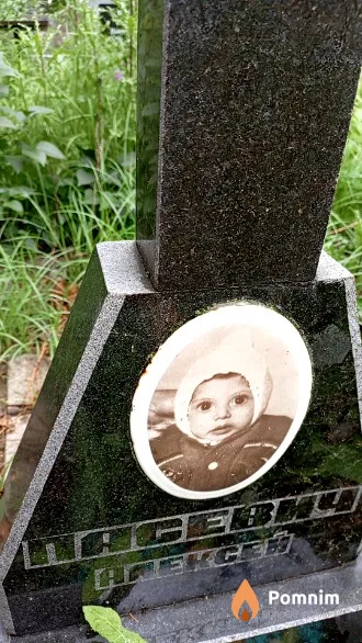 Пасевич Алексей