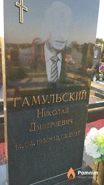 Гамульский Николай Дмитриевич