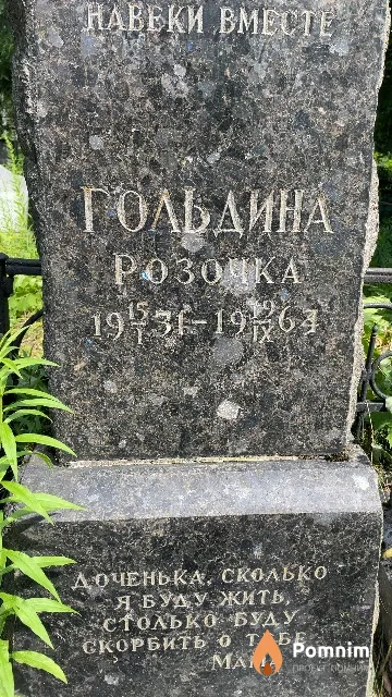 Гольдина Розочка