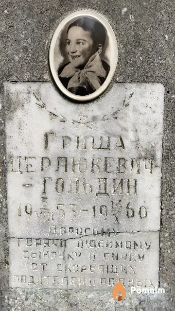 Церлюкевич-Гольдин Гриша