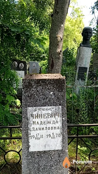 Чиневич Надежда Даниловная