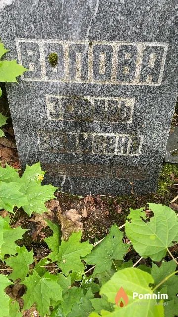 Волова Эсфирь Ефимовна