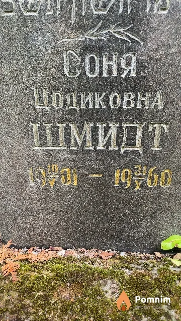 Шмидт Соня Цодиковна