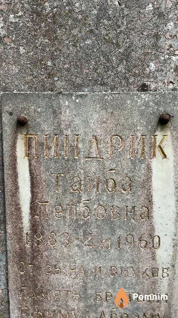 Пиндрик Тайба Лейбовна