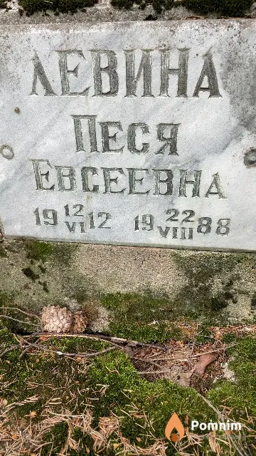 Левина Песя Евсеевна