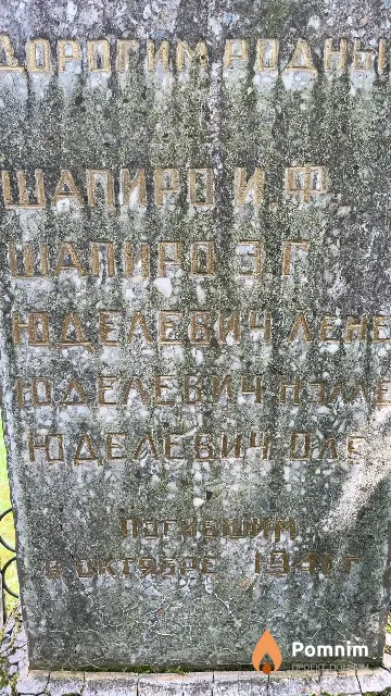 Шапиро Э. Г.