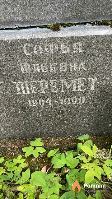 Шеремет Софья Юльевна