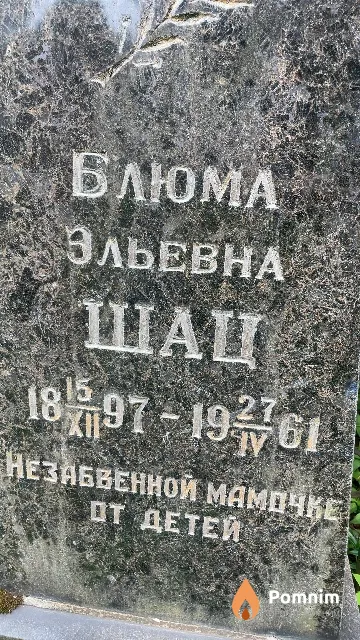 Шац Блюма Эльевна