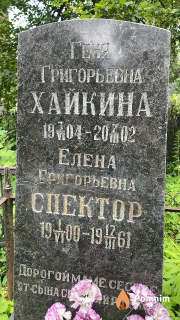 Спектор Елена Григорьевна