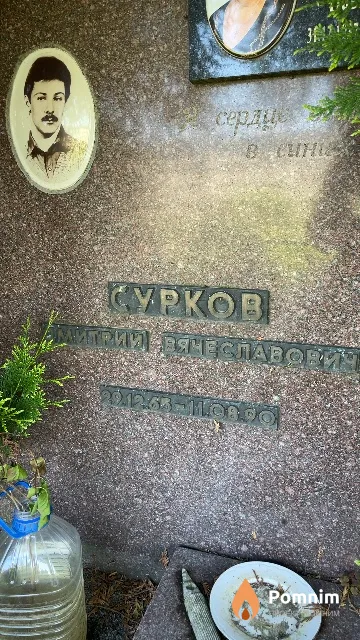 Сурков Дмитрий Вячеславович