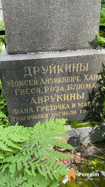 Друйкина Роза