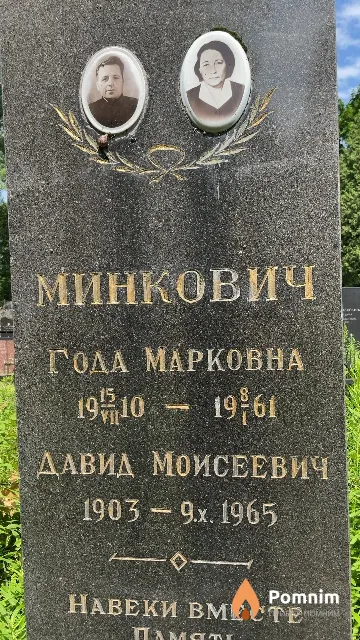 Минкович Давид Моисеевич