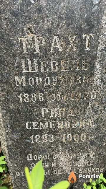 Трахт Рива Семеновна