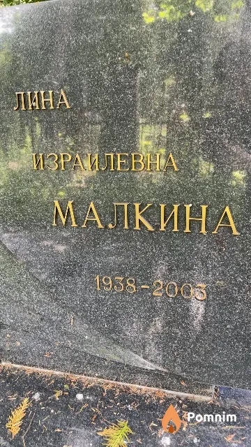 Малкина Лина Израилевна
